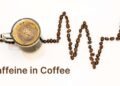 How Much Caffeine in Coffee
