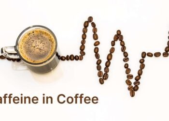 How Much Caffeine in Coffee