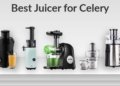 Best Juicer for Celery