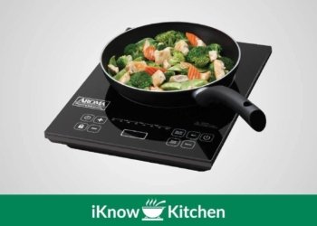 Best Portable Induction Cooktop