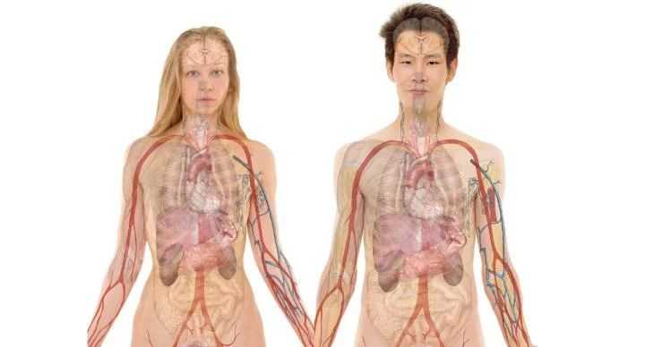 Fast Caffeine Metabolism