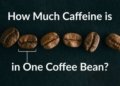 How Much Caffeine is in One Coffee Bean
