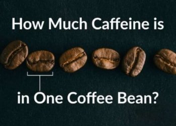 How Much Caffeine is in One Coffee Bean