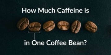 How Much Caffeine is in One Coffee Bean